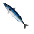 fishspin