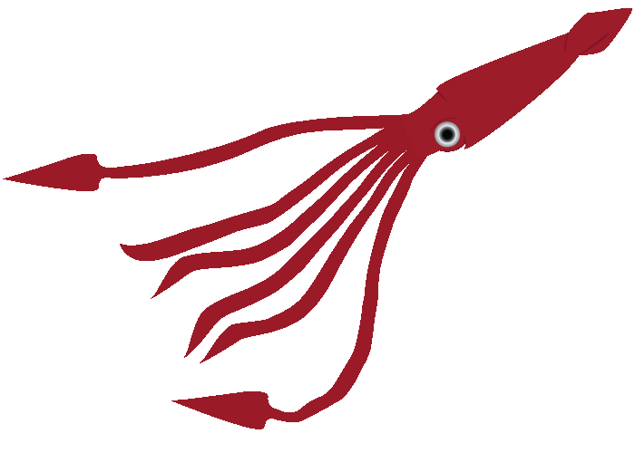 squid